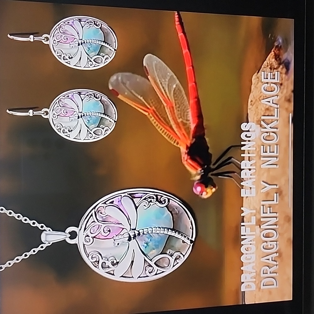 Dragonfly🌸🌸 3pc set necklace earrings - Picture 2 of 5